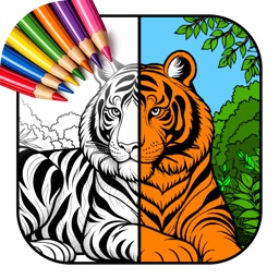 Coloring Book
